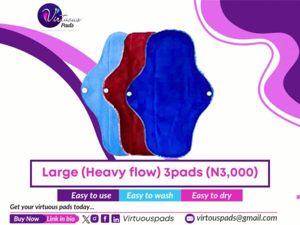 3 Large Reusable Pads (Heavy flow) - Image 2