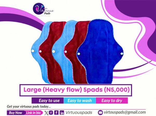 5 Large Reusable Pads (Heavy Flow) - Image 2