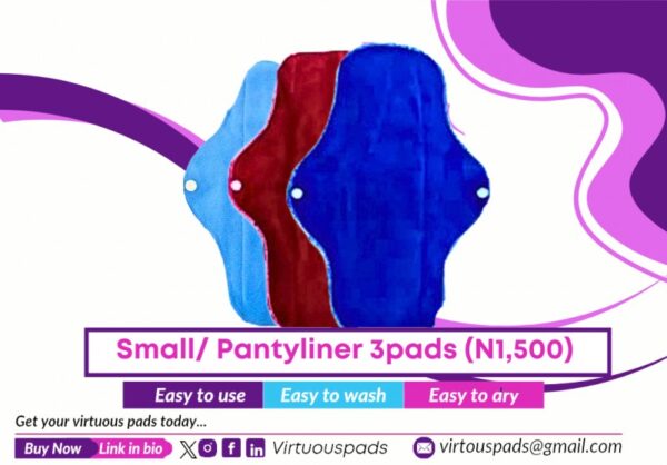 3 Small/Pantyliner Reusable pads - Image 2